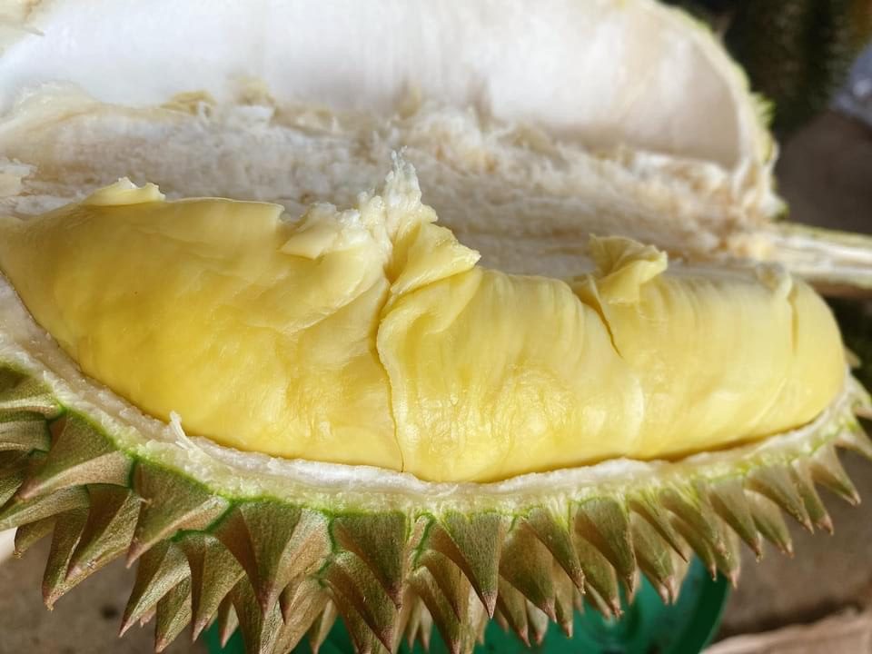 Thơm Ngon Từng Miếng Thịt Sầu Riêng
