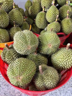 Sầu riêng Musang King