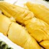 Sầu Riêng Musang