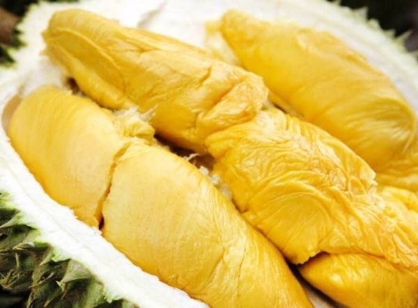 Sầu Riêng Musang