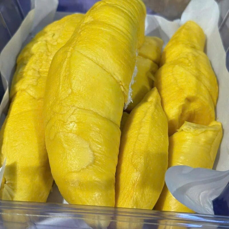 Sầu riêng Musang King