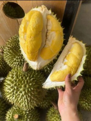 Sầu Riêng Ri6