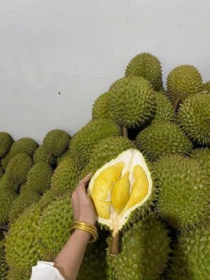 Sầu Riêng Ri6