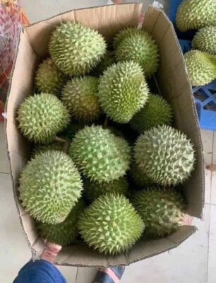 Sầu Riêng Ri6