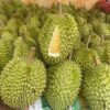 Sầu Riêng Ri6 Cơm Vàng - Hạt Lép