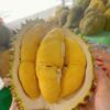 Sầu Riêng Ri6 Ngọt Lịm