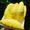 Sầu Riêng Ri6
