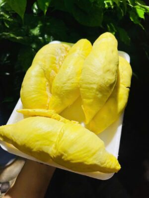Sầu Riêng Ri6