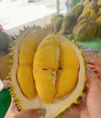 Sầu Riêng Ri6 Ngọt Lịm