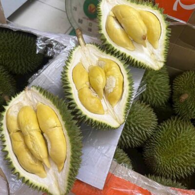 Sầu Riêng Ri6
