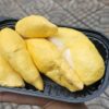 Sầu Riêng Ri6
