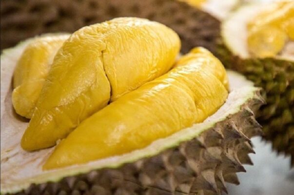 Sầu Riêng Cái Mơn