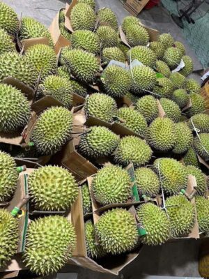 Vựa Sầu Riêng Ri6