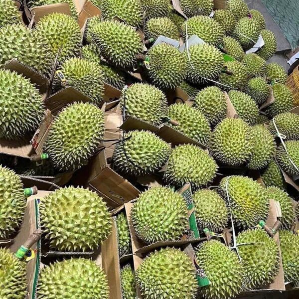 Vựa Sầu Riêng Ri6