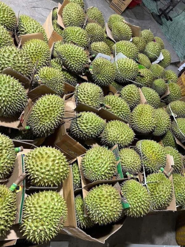 Vựa Sầu Riêng Ri6